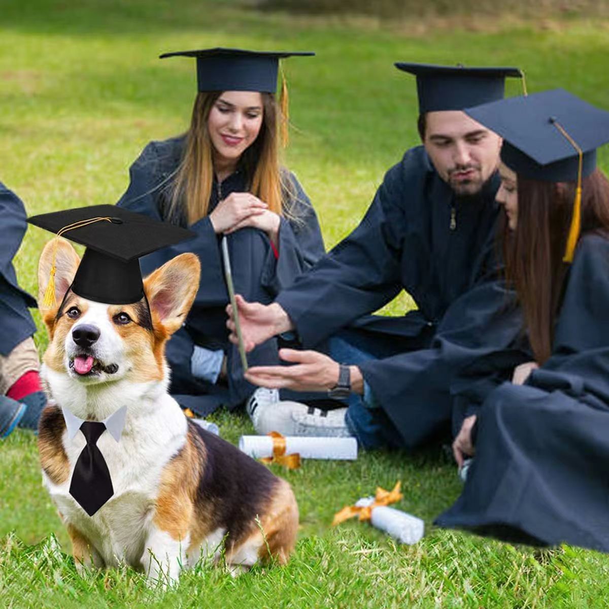 Funny Pet Headwear Graduation Cap and Tie