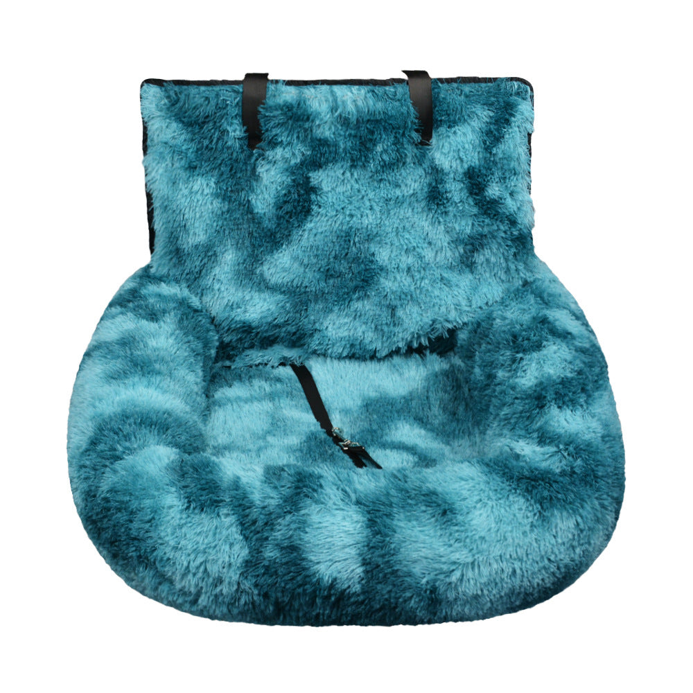 Turquoise fluffy pet cat seat on a white background
