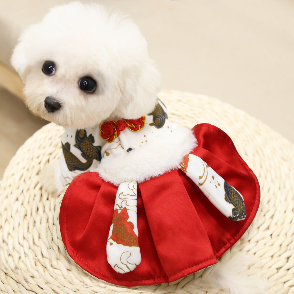 Funny Pet Costume Chinese New Year