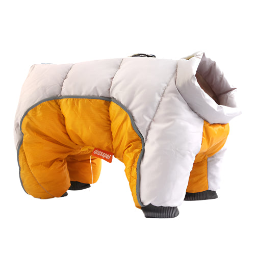 Yellow and gray dog down jacket on a white background