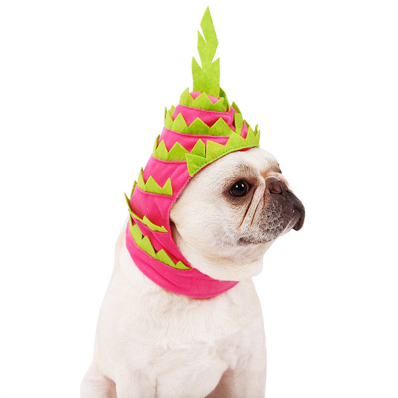 Funny Pet Headwear Pitaya