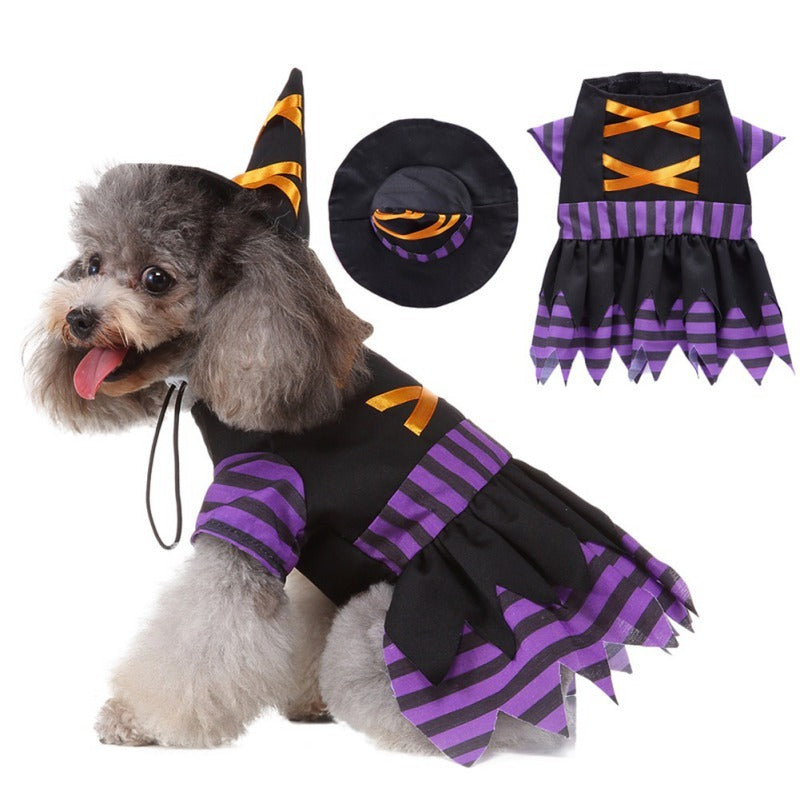 Funny Pet Costume Witch
