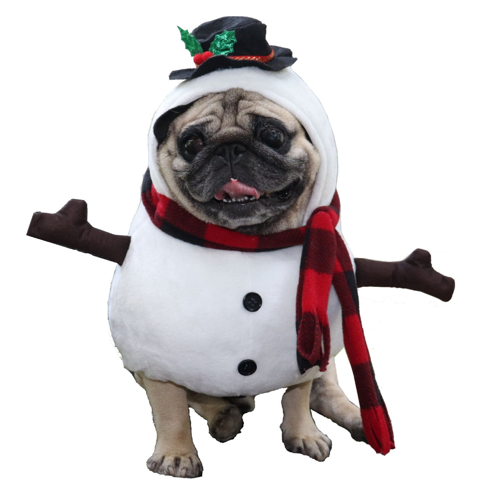 Funny Pet Costume Snowman 