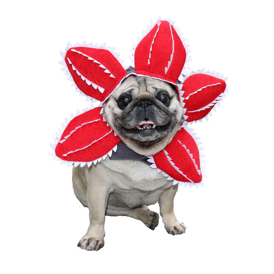 Funny Pet Headwear Carnivorous Plant