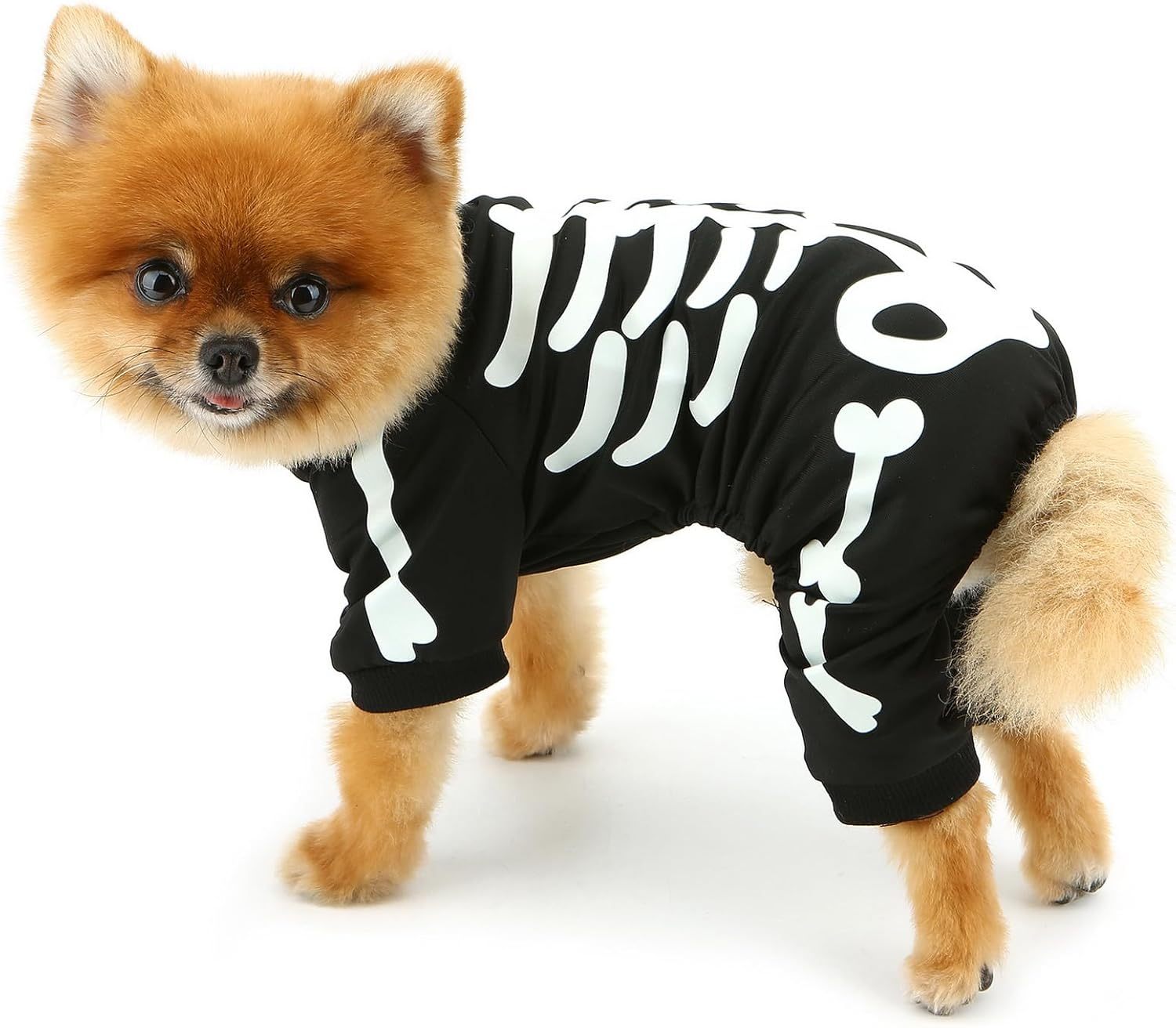 Funny Pet Costume Skeleton