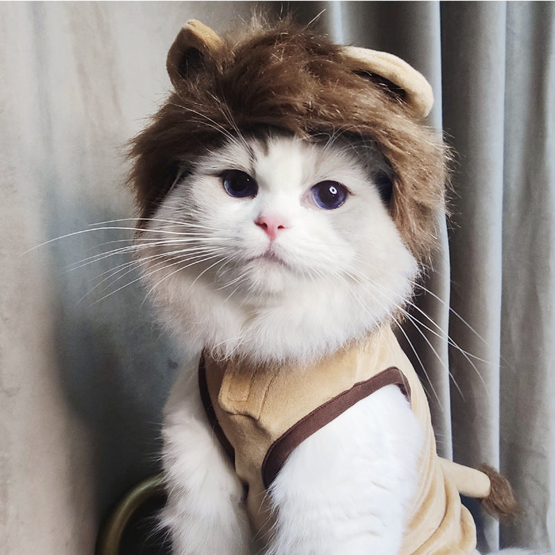 Funny Pet Costume Lion