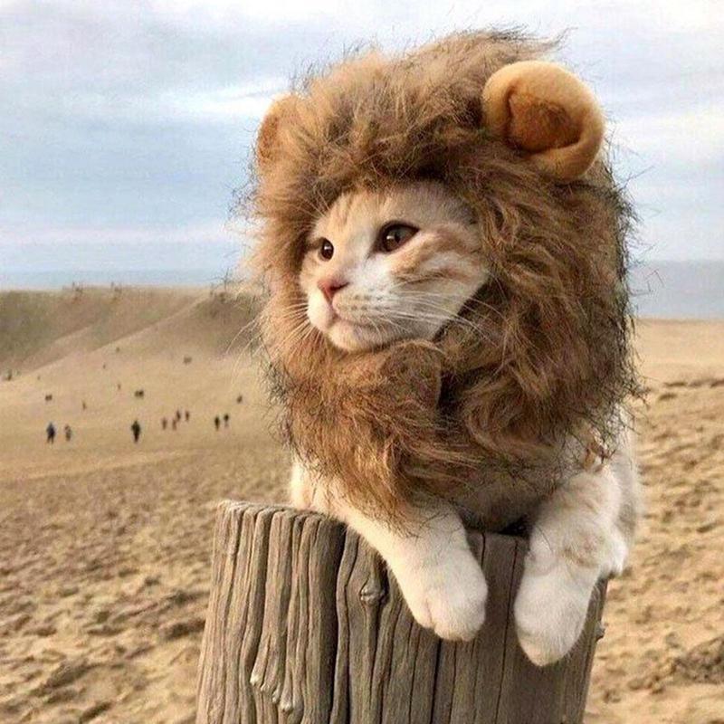 Funny Pet Headwear Lion Mane Brown