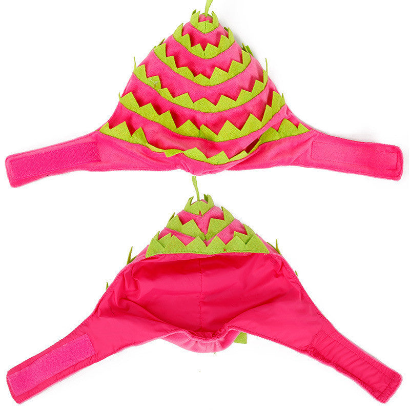Funny Pet Headwear Pitaya