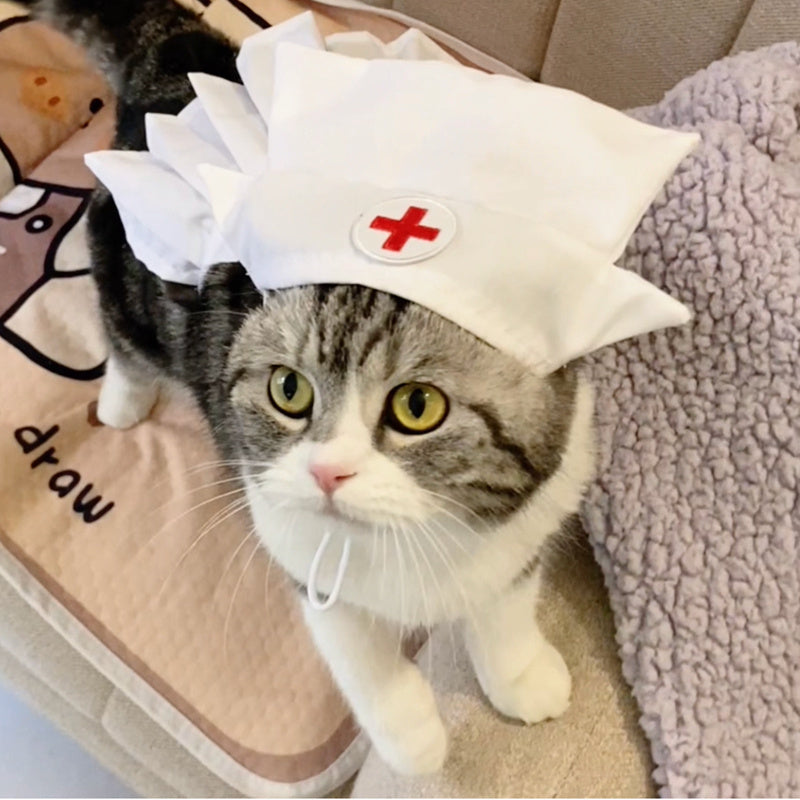 Funny Pet Costume Nurse