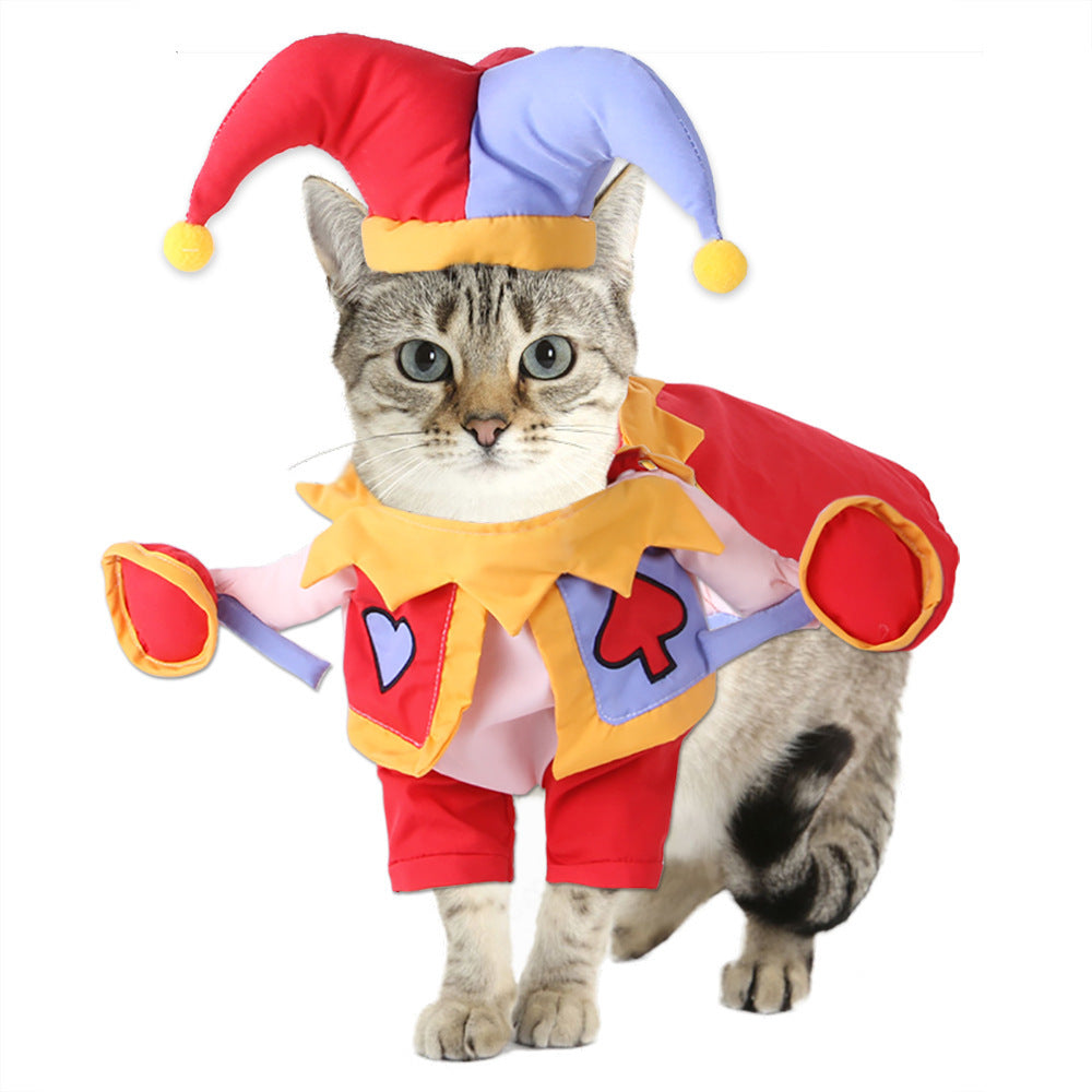 Funny Pet Costume Jester Hearts and Spades
