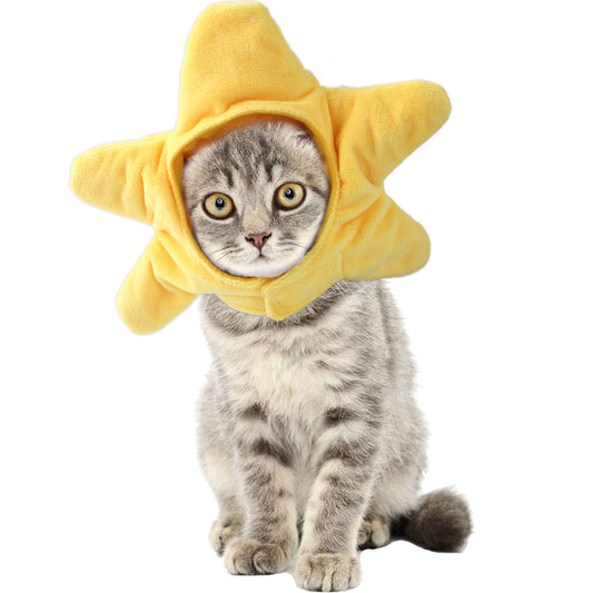 Funny Pet Headwear Star