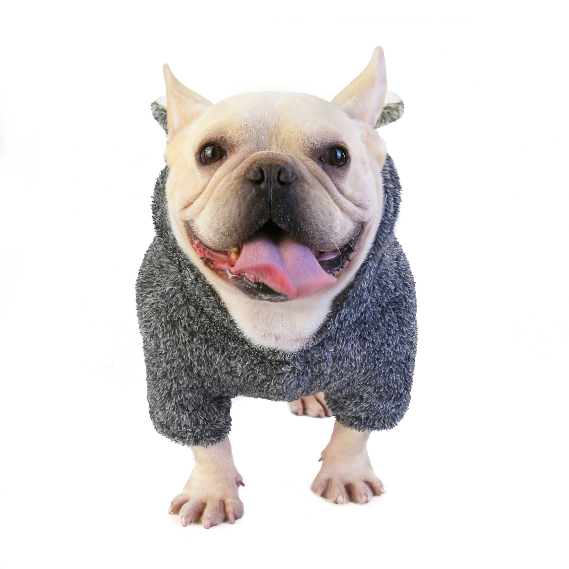 Funny Pet Costume Koala Dark Gray