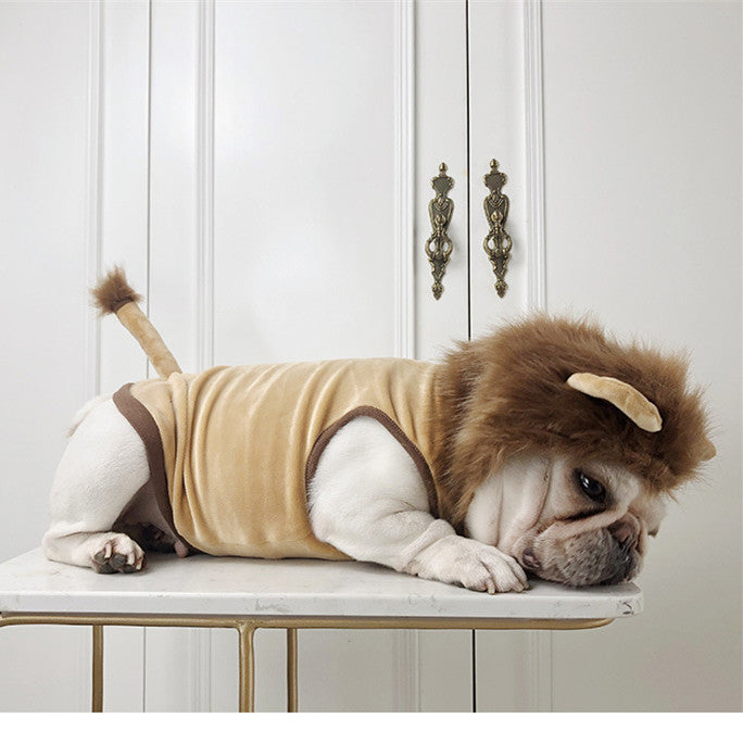 Funny Pet Costume Lion