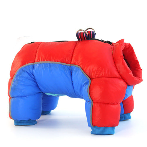 Red and blue dog down jacket on a white background