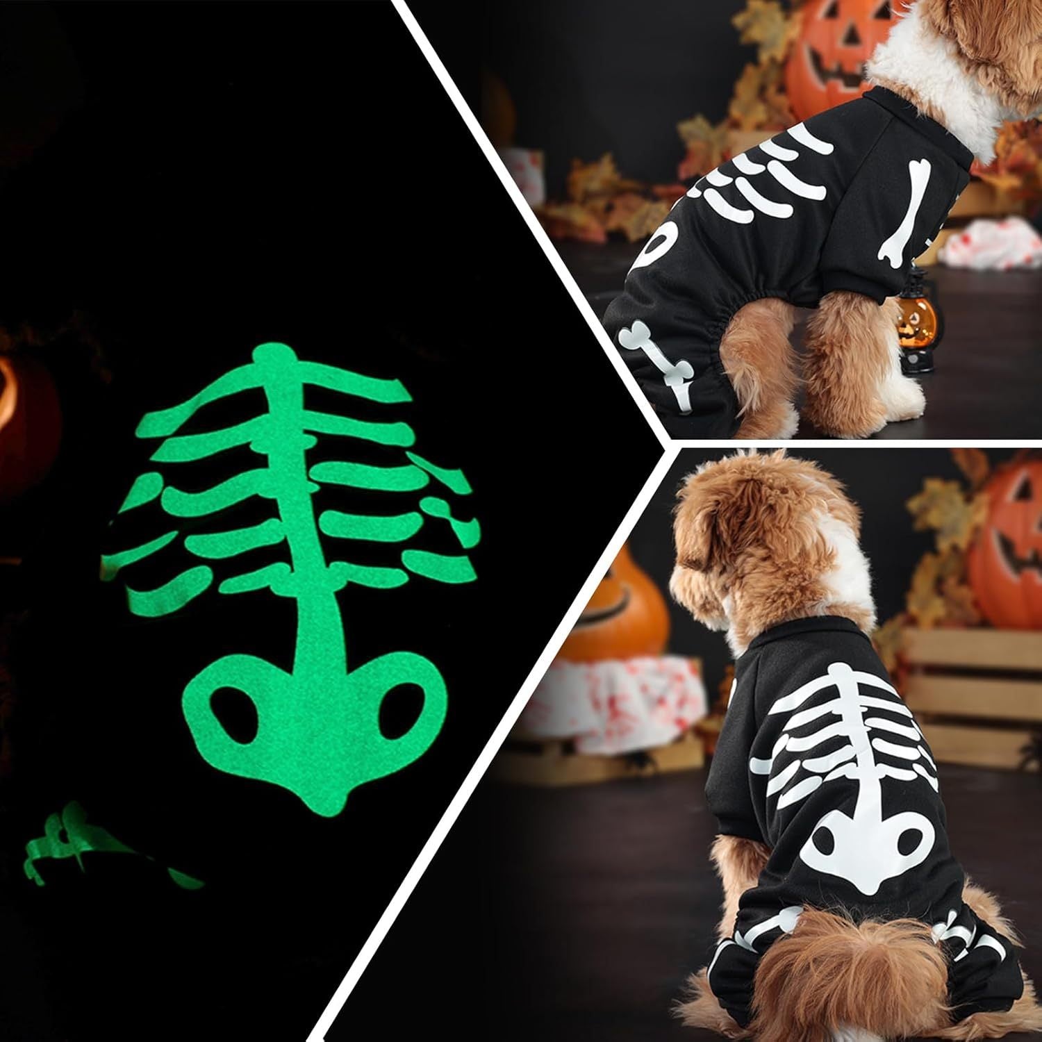 Funny Pet Costume Skeleton Glow in the Dark