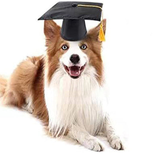 Funny Pet Headwear Graduation Cap