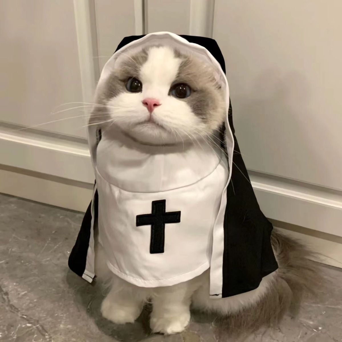 Funny Pet Costume Nun