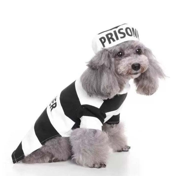 Funny Pet Costume Prisoner