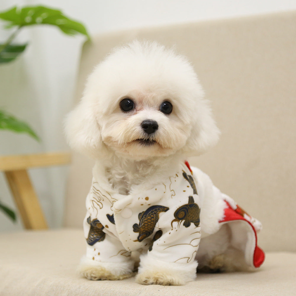 Funny Pet Costume Chinese New Year