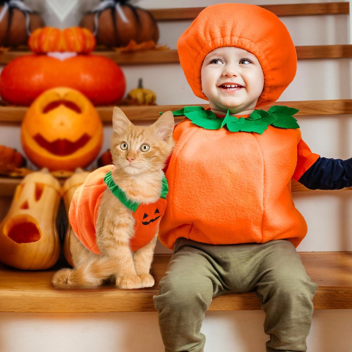 Funny Pet Costume Pumpkin
