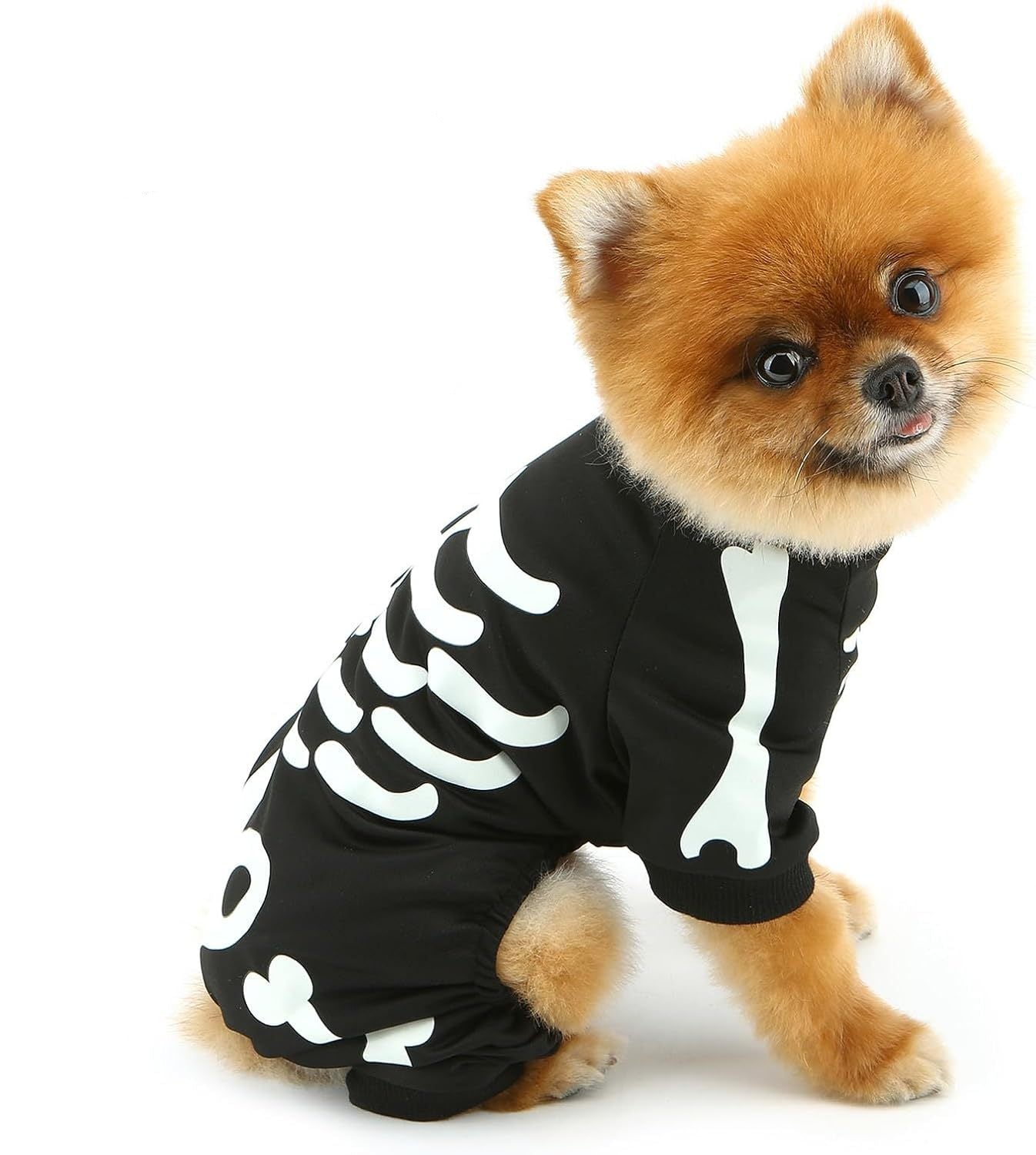 Funny Pet Costume Skeleton