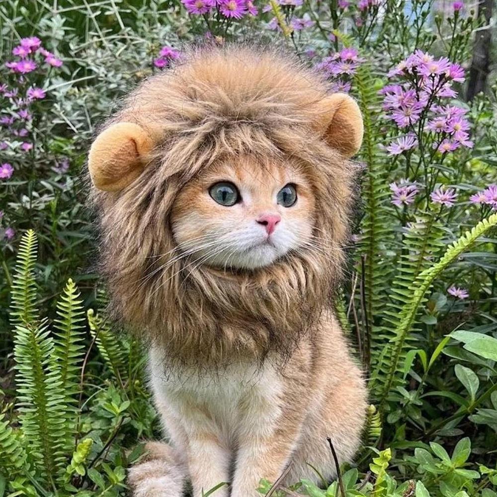 Funny Pet Headwear Lion Mane Brown