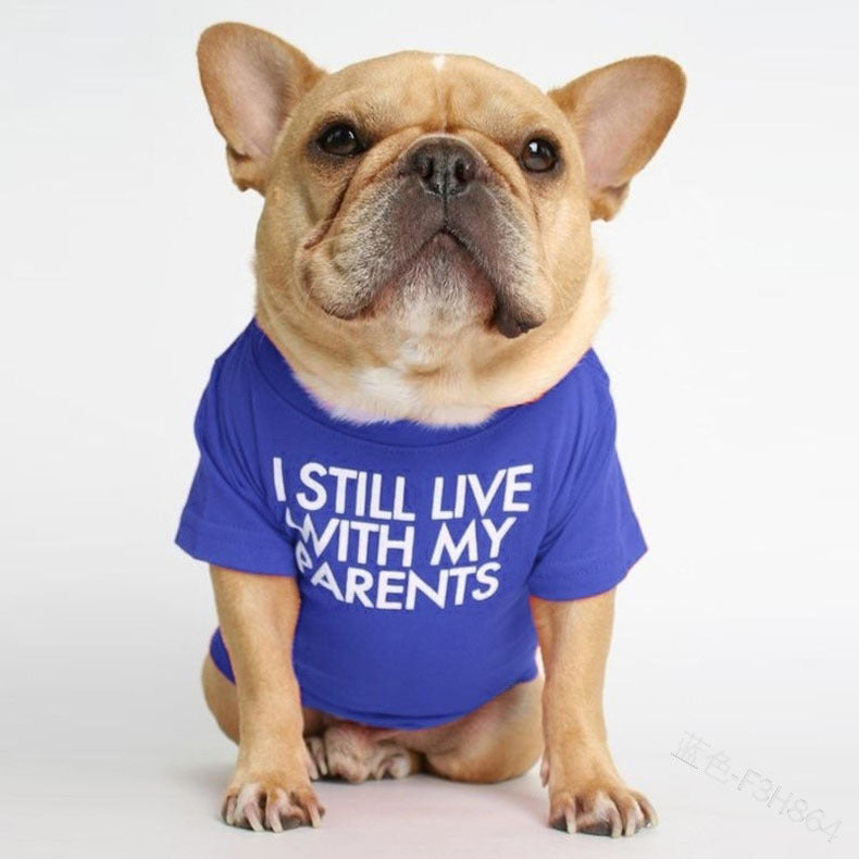 Pet T-shirt Funny Text Blue