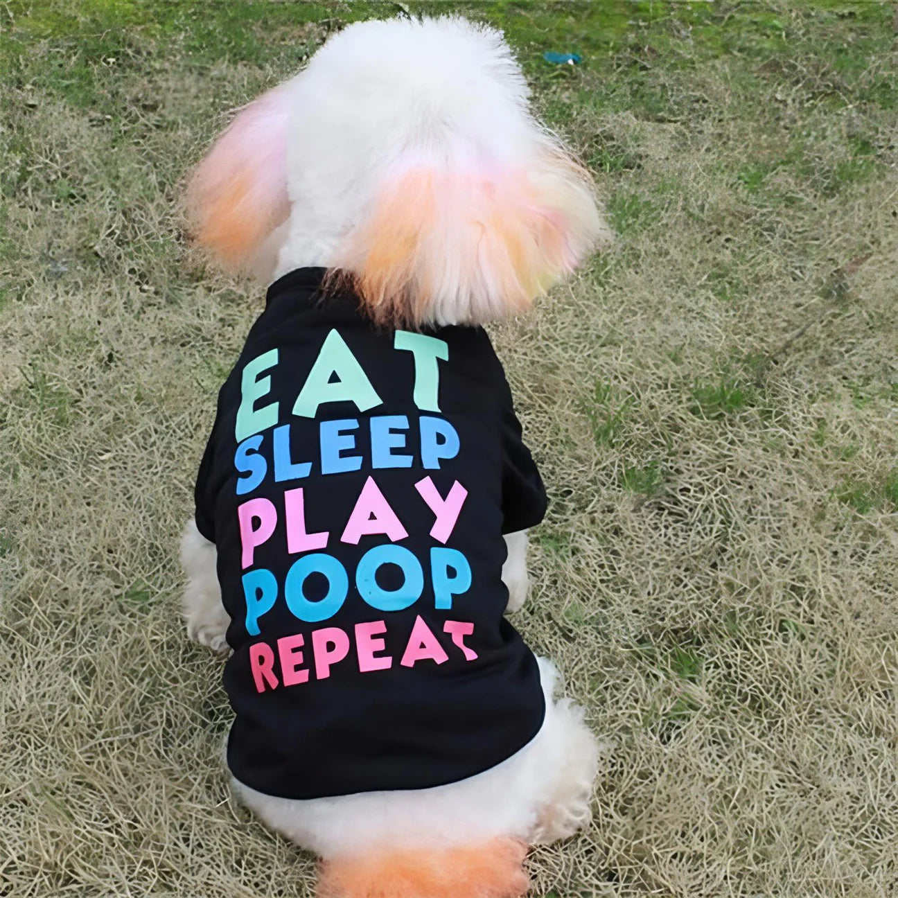 Pet T-shirt Funny Text Black