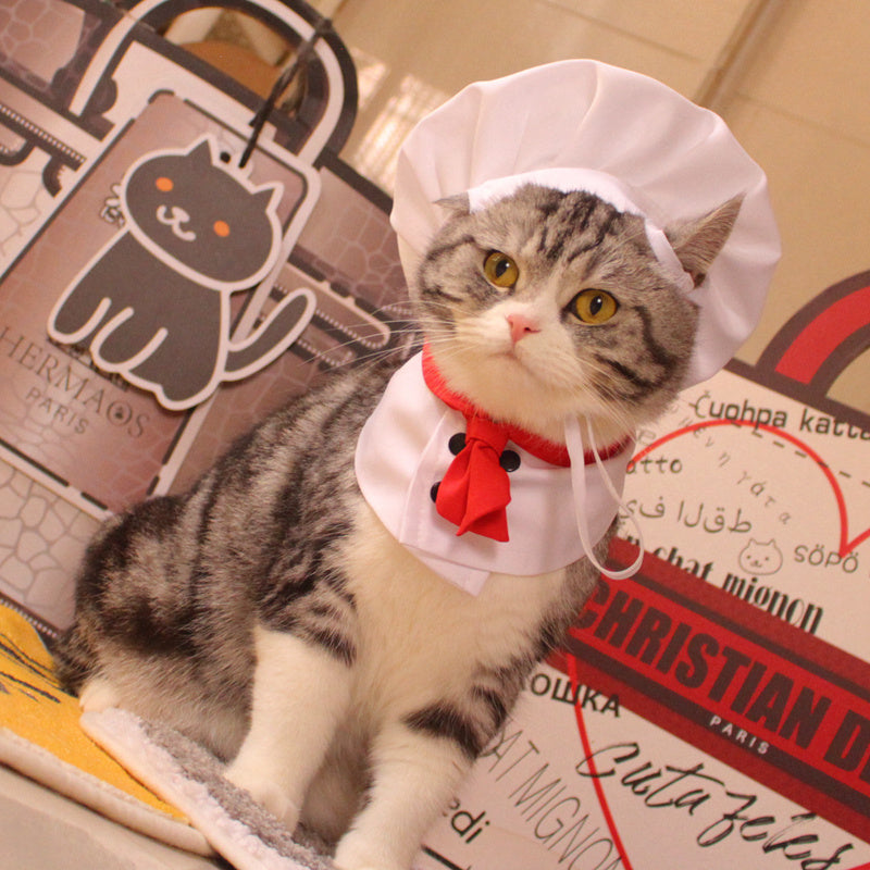Funny Pet Costume Chef