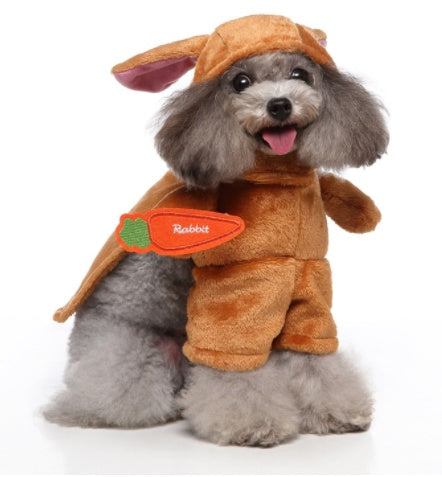 Funny Pet Costume Rabbit with Carrot