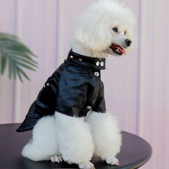 Pet Leather Jacket  