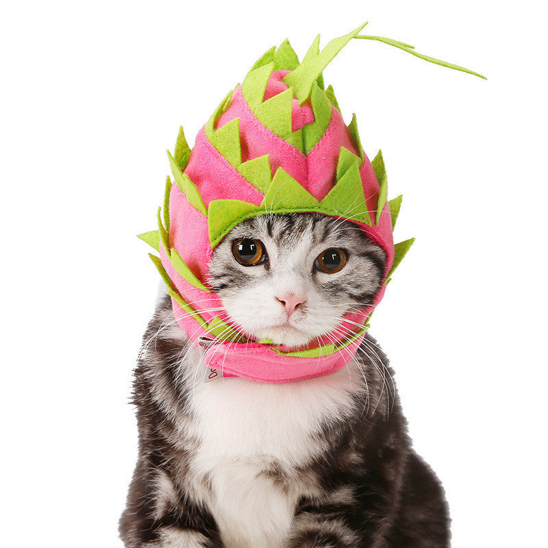 Funny Pet Headwear Pitaya