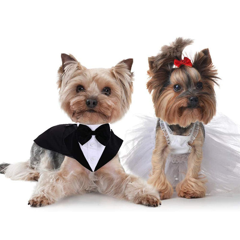 Pet Suit Bow Tie