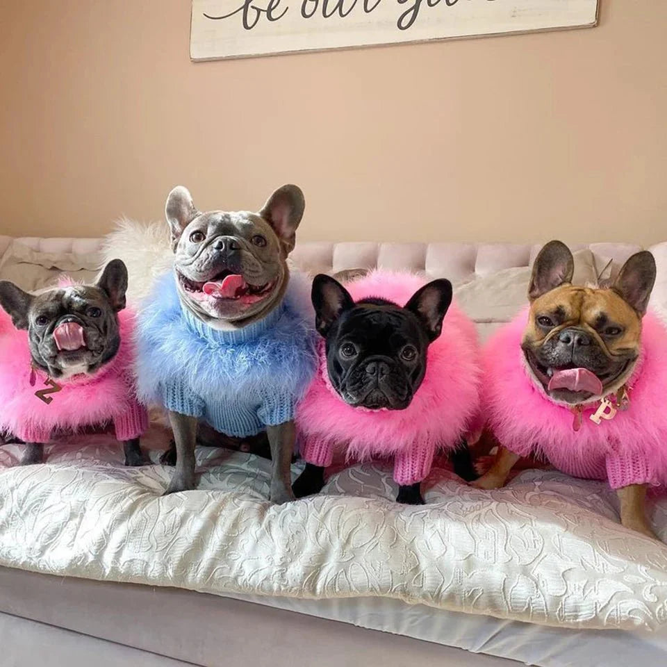 Pet Feather Knit Sweater