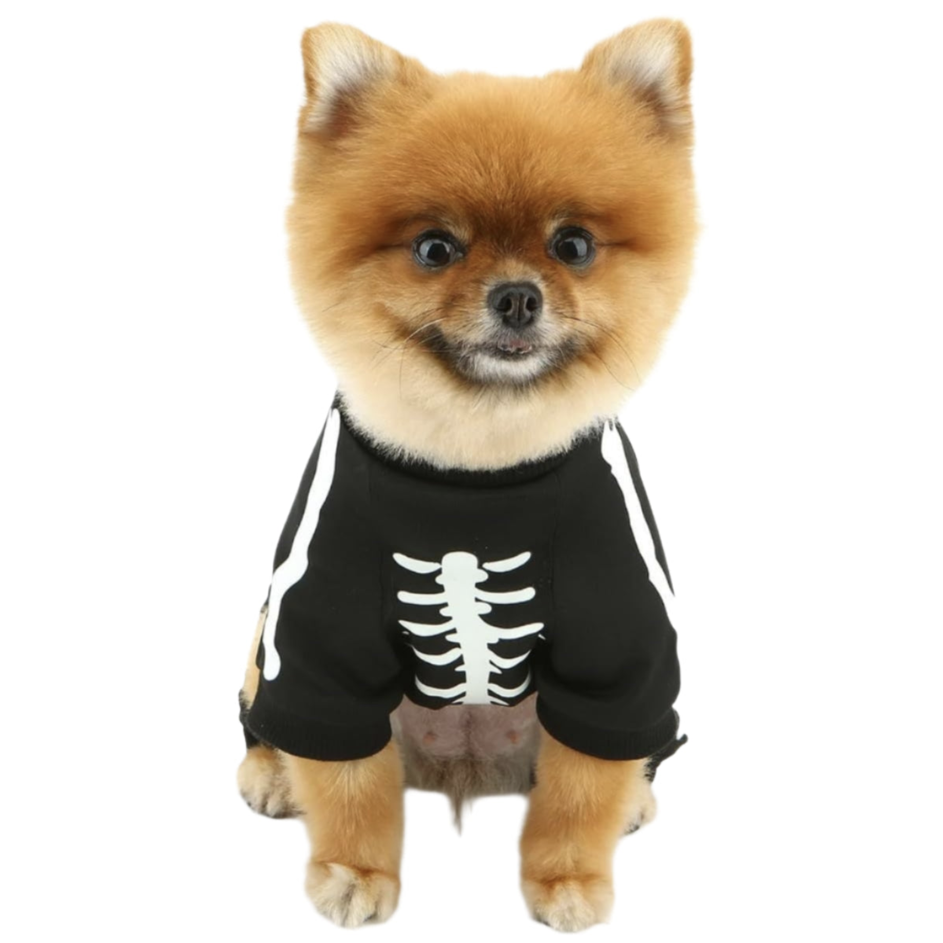 Funny Pet Costume Skeleton